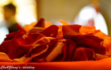 IMG_0271-1