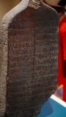 1000093133
