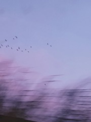 1613394