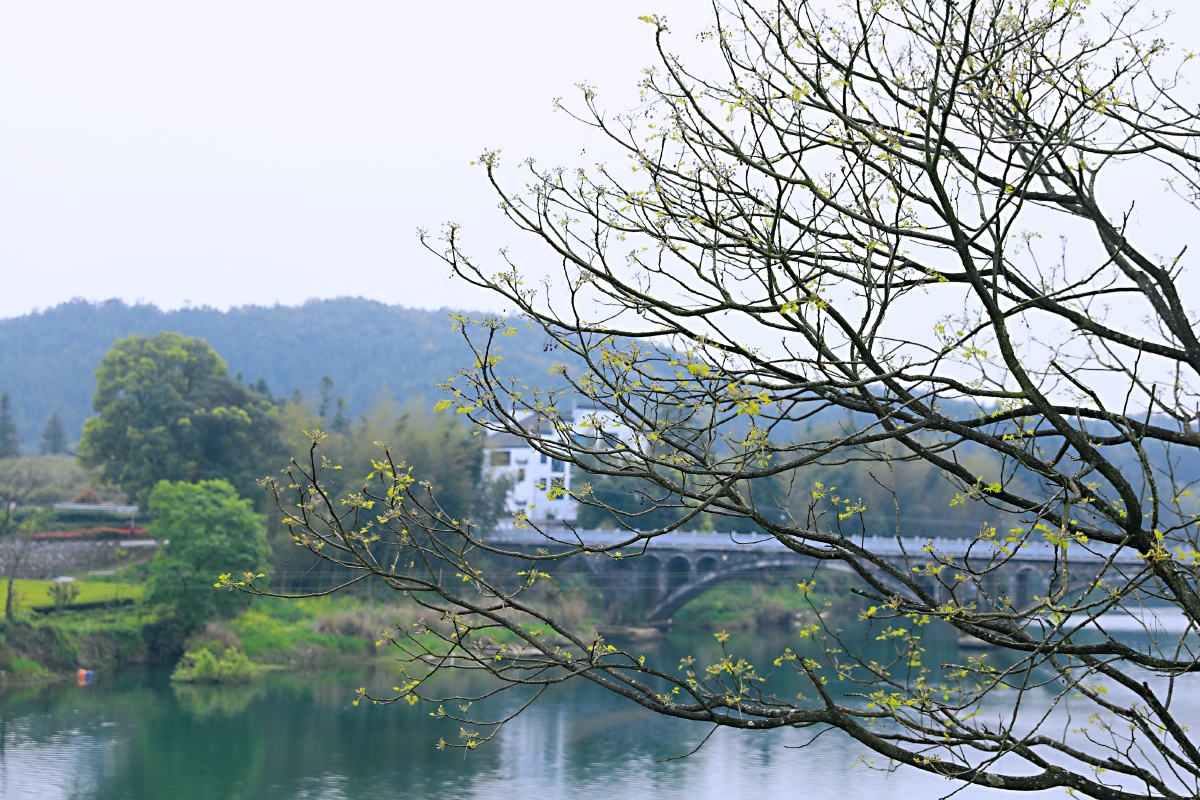 树绕村庄,水满陂塘.倚东风,豪兴徜徉.小园几许,收尽春光.