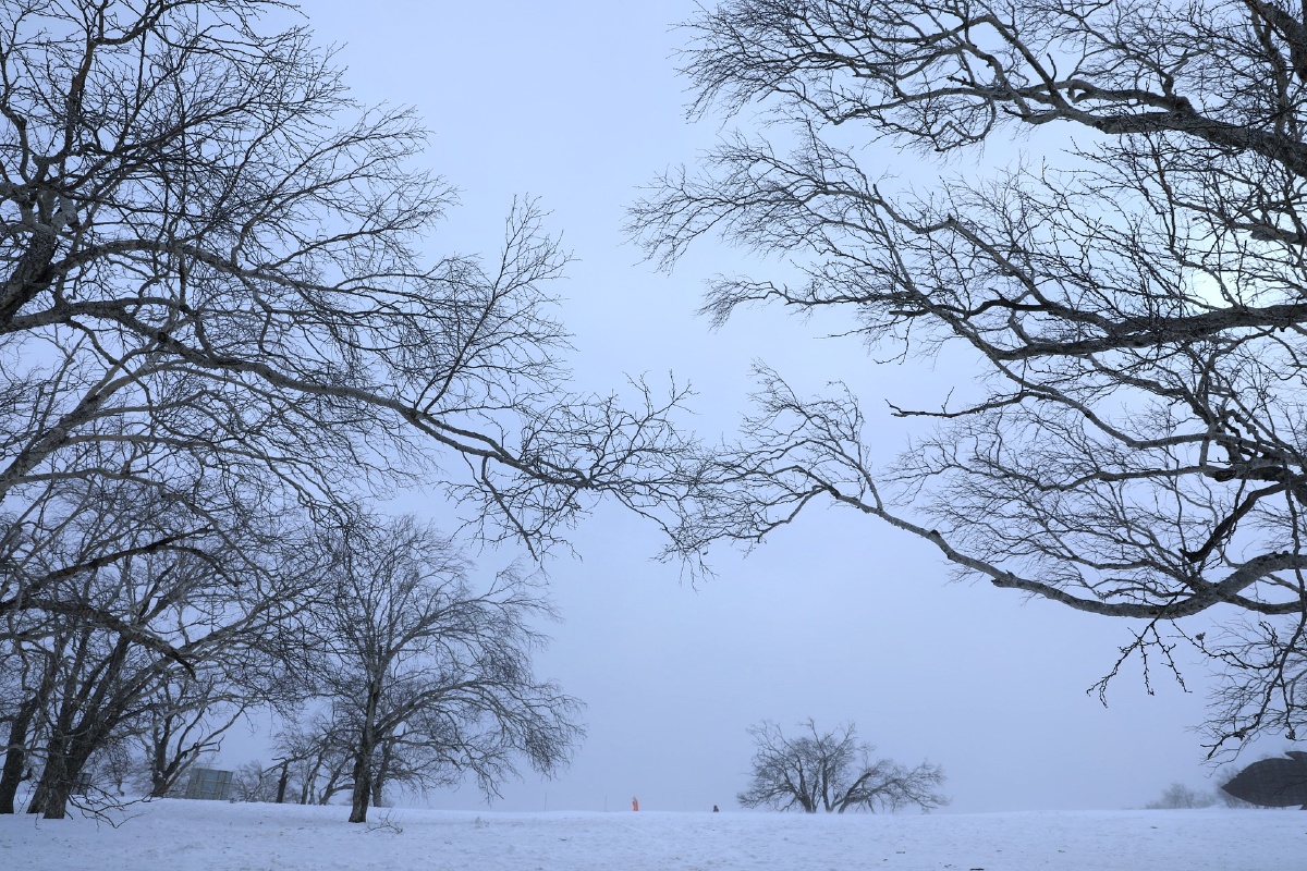 瑞雪纷飞