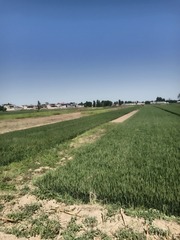 378327
