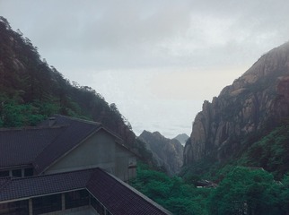 1000123275