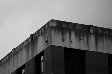 1000230166