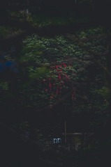 1000294206