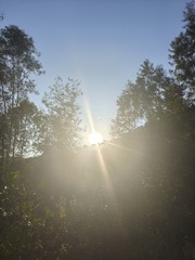 1000025727