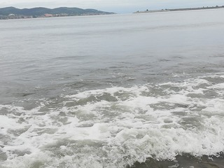366