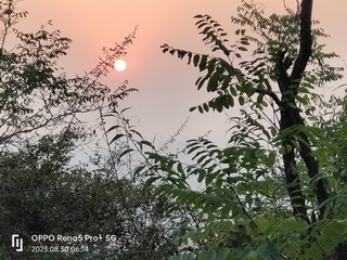 1000018272