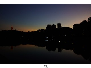1000054187