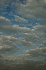 DSC_0290.jpg