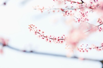 1021829
