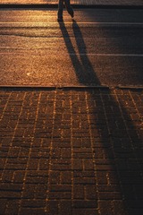 1000057059