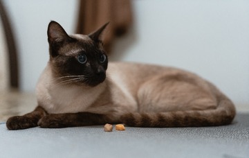 771198