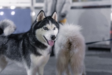 765908