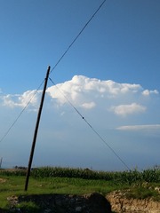 1000015630