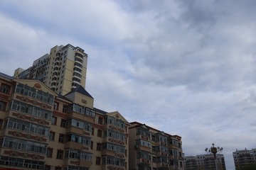 1000045784
