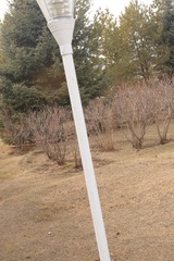 1000031525