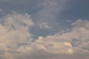 1000033816