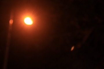 1000030949