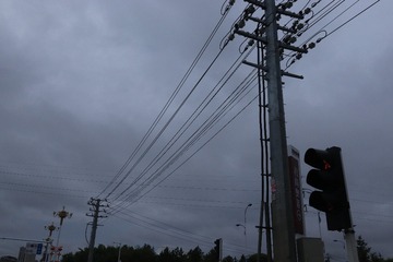 1000008214