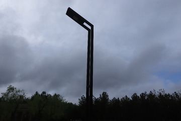 1000008155