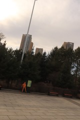 1000031086