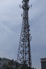 1000041457