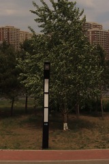 1000037298