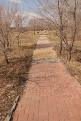 1000031622