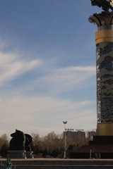 1000031026
