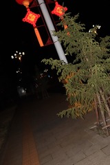 1000033842