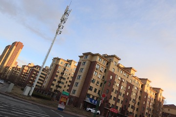 1000033195