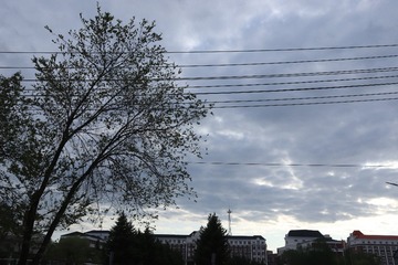 1000045807