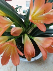 200041