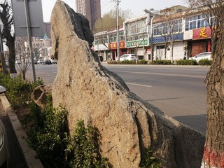 IMG_20240403_090845
