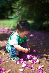 IMG_0200-s