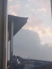 2794397