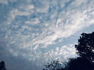 1000043176