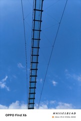1000022426