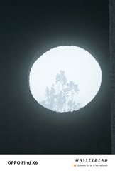 1000008925