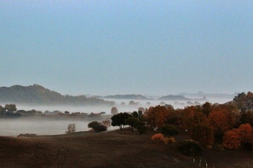 IMG_3871.JPG