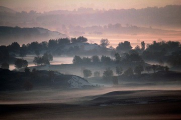 IMG_4155.jpg