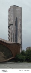 1000012816