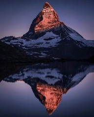 1000065597