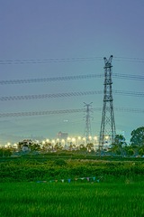 1000190293