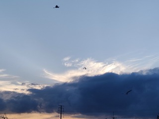 1000001803