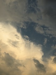 1000017807