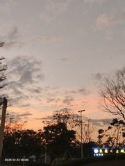 1000025772