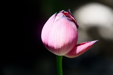 163810