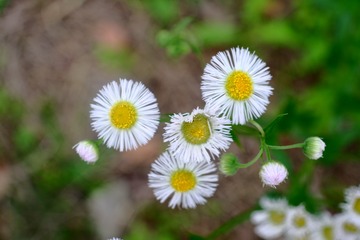 159070